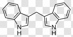 Dietary Supplement 3,3'-Diindolylmethane Indole-3-carbinol Estrogen Nutrient - Hand - Phytochemistry Transparent PNG