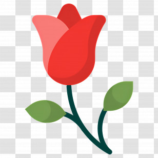 Red Flower - Red Rose Illustration Transparent PNG
