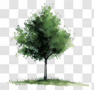 Green Tree - Green Watercolor Tree Illustration Transparent PNG