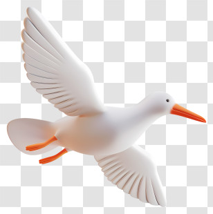 Seagull - White Bird In Flight Transparent PNG