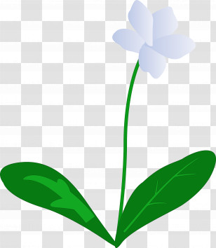 Violet Flower Transparent PNG