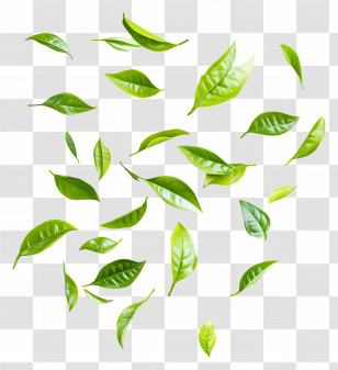 Flying Leaf - Floating Green Leaves Transparent PNG
