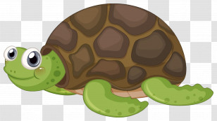 Cartoon Turtle - Smiling Cartoon Turtle Illustration Transparent PNG
