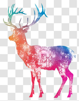 Deer Silhouette - Colorful Deer Silhouette With Decorative Antlers Transparent PNG