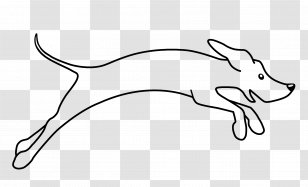 Dolphin Cartoon - Whiskers - Bottlenose Transparent PNG