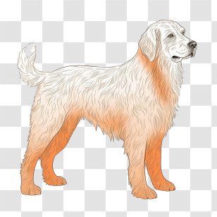 Dog - Golden Retriever Illustration In Realistic Style Transparent PNG