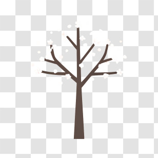 Cherry Blossom Tree - Bare Tree With Branches Transparent PNG