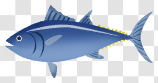 Icon - Blue Tuna Fish Graphic Illustration Transparent PNG