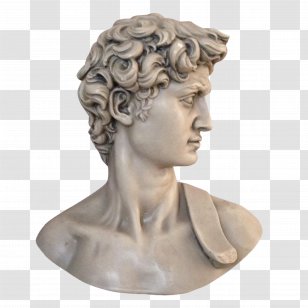 Hair Cartoon - Nonbuilding Structure - Carving Lace Wig Transparent PNG