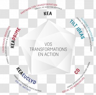 Kea & Partners Management Consulting Brand Strategy Transparent PNG