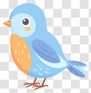 Cute Bird - Blue And Orange Cartoon Bird Illustration Transparent PNG