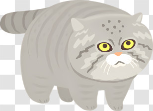 Gray Cat - Gray Fluffy Cat Cartoon Illustration Transparent PNG