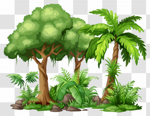 Big Tree - Lush Jungle With Tropical Trees Transparent PNG