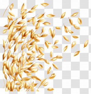 Oats - Golden Wheat Transparent PNG