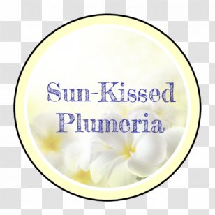 Product Cut Flowers Diary The Shadowboxers Font - Plumeria Transparent PNG