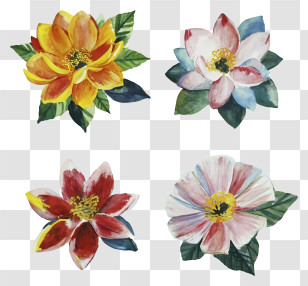 Cartoon - Set Of Colorful Flower Paintings Transparent PNG