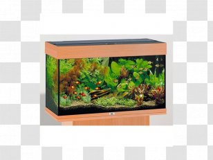 Juwel Aquarium Filters Maple Aquatics Fishkeeping - Pond Transparent PNG