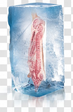 Western Europe Food Drink Chocolate - Tree - Icecube Transparent PNG
