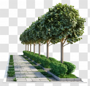 Pavement - Tree-lined Pathway Illustration Transparent PNG