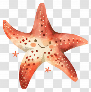 Starfish - Smiling Red Starfish Cartoon Illustration Transparent PNG
