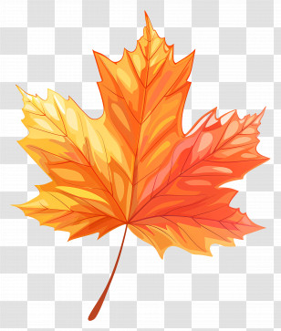 Maple Leaf - Vibrant Autumn Maple Leaf Illustration Transparent PNG