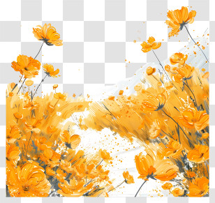 Marigold Field Background - Artistic Field Of Yellow Flowers In Bloom Transparent PNG