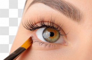 Roblox Face Cosmetics Desktop Wallpaper Eye Eyes Transparent Png - eye liner transparent background roblox