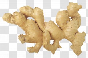 Ginger Tea Ale Chinese Cuisine Root Vegetables - Spice Transparent PNG