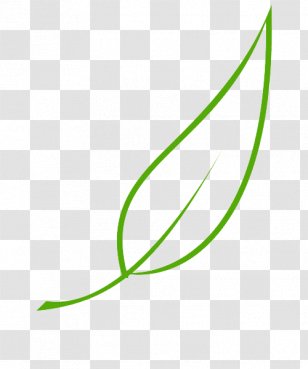 Leaf Paper Tree Drawing Transparent PNG