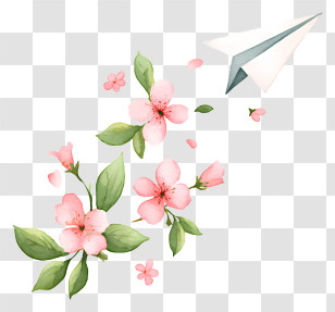 Paper Airplane Flying - Paper Plane With Cherry Blossoms Transparent PNG
