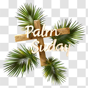 Palm Sunday - Palm Sunday Cross With Palm Leaves Transparent PNG