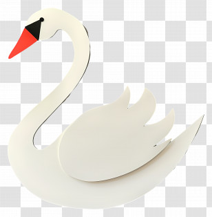 White Swan - Graceful White Swan Illustration Transparent PNG