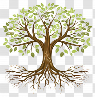 Tree With Roots - Tree With Lush Green Leaves And Visible Roots Transparent PNG