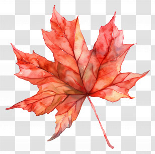 Autumn Maple Leaf - Colorful Autumn Leaf Transparent PNG