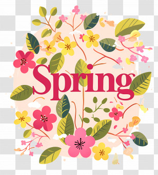 Spring - Spring Flower Decorative Illustration Transparent PNG