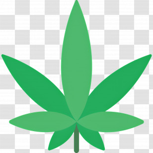 Cannabis Leaf - Green Cannabis Leaf Illustration Transparent PNG