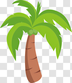 Leaf - Cartoon Style Palm Tree Illustration Transparent PNG