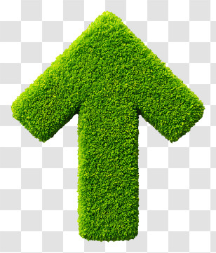 Mossy Up Arrow - Green Arrow Symbolizing Growth Transparent PNG