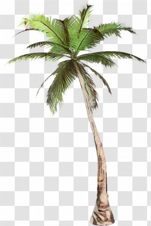 Palm Tree - Watercolor - Elaeis Desert Transparent PNG