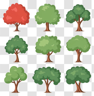 Cartoon - Variety Of Cartoon Trees Illustration Transparent PNG