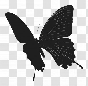 Flying Butterfly - Black Butterfly Silhouette Artwork Transparent PNG