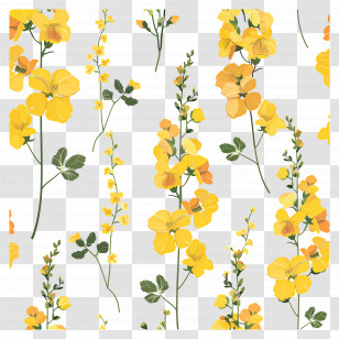 Rapeseed Flowers - Yellow Floral Pattern With Green Stems Transparent PNG