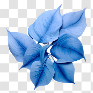 Blue Leaves - Blue Leaves Illustration Transparent PNG