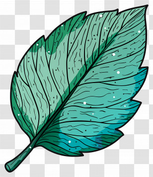 Single Leaf - Blue Leaf Cartoon Illustration Transparent PNG