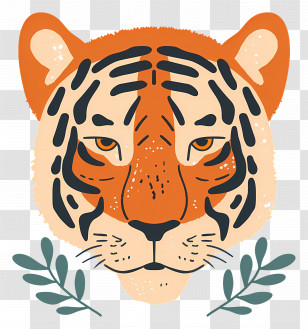 Tiger Head - Tiger Face Illustration Transparent PNG