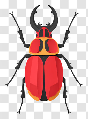 Rhinoceros Beetle - Red Beetle Illustration Transparent PNG