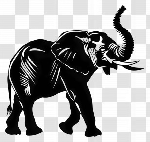 Elephant Trunk Up Silhouette - Elephant Silhouette Animal Transparent PNG