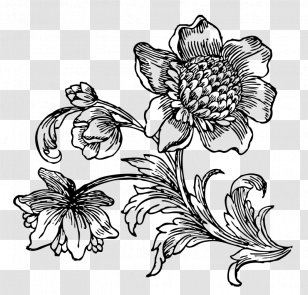 Floral Design Drawing Line Art Visual Arts Monochrome - Flower Transparent PNG