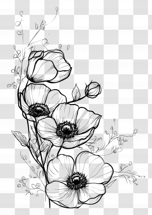 Flower Corner - Floral Sketch Line Art Transparent PNG