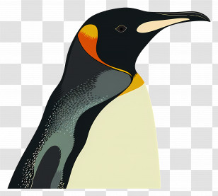 Penguin - Penguin With Colorful Markings Transparent PNG